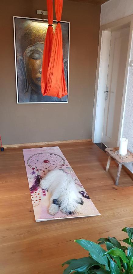 Kleines Haeuschen Im Gruenen Villa Monheim  Luaran gambar